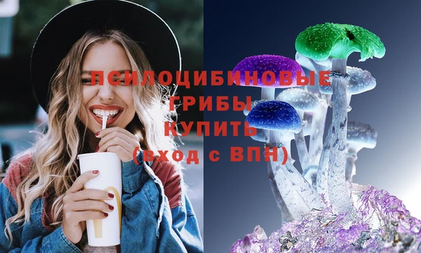 шишки Армянск