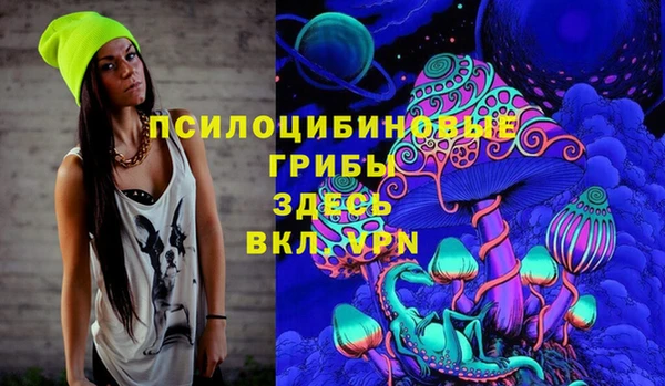 шишки Армянск