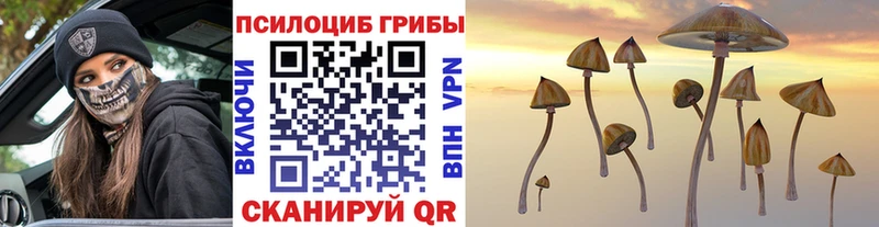 Галлюциногенные грибы мухоморы  Соль-Илецк 