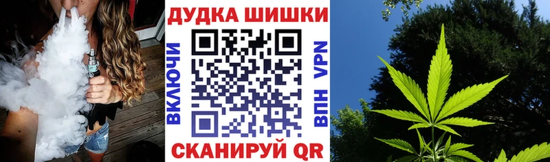Бошки марихуана OG Kush  Соль-Илецк 
